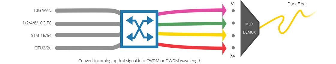 10G/25G Transponder (OEO) Excellent Transponder Supporting Wavelength Conversion for WDM Networks