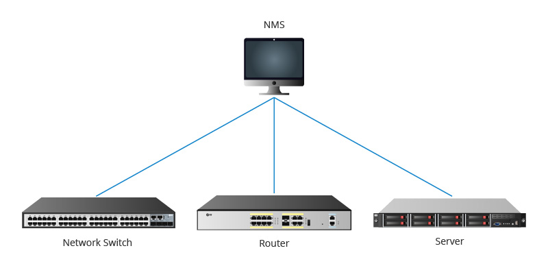 SNMP figure1.jpg