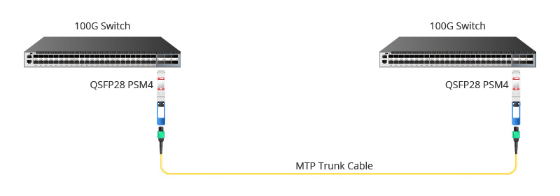QSFP28 PSM4 100G to 100G Direct Connection.jpg