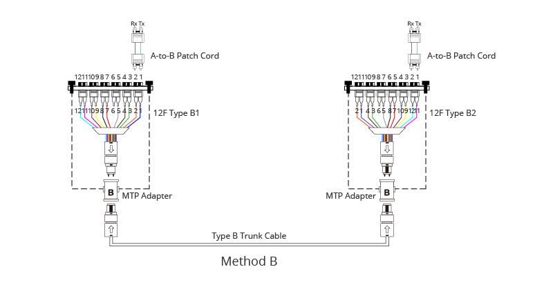 MTP-Polarity-Method-B.jpg