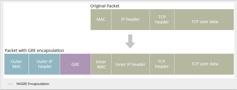 Figure 2 Packet Format of NVGRE.png