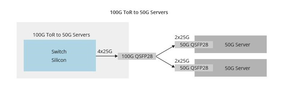 100 switch to 50G server.png