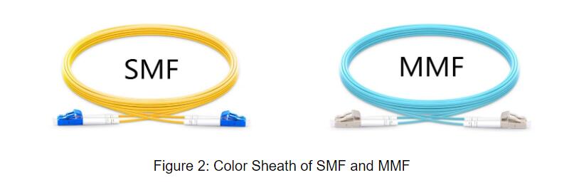 Figure 2 Color Sheath of SMF and MMF.jpg