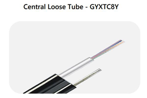 GYXTC8Y Loose Tube.jpg