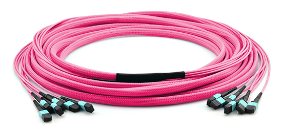 mtp trunk cable