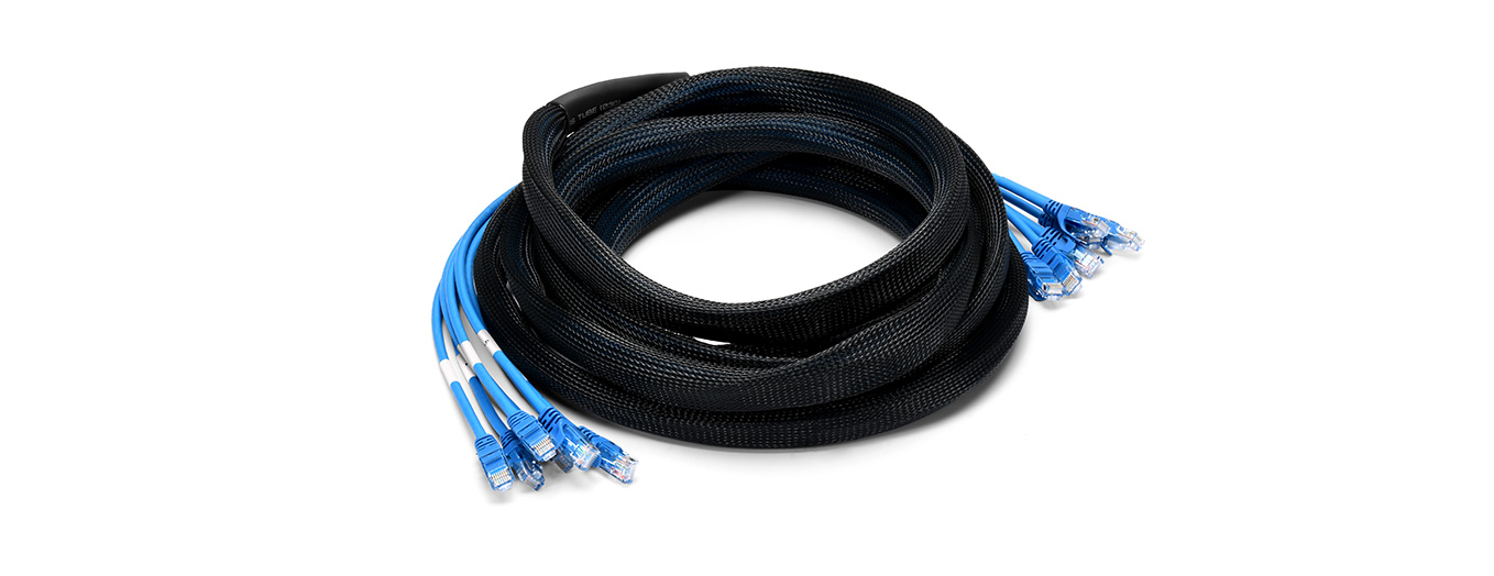 Plug-to-Plug Trunk Cables