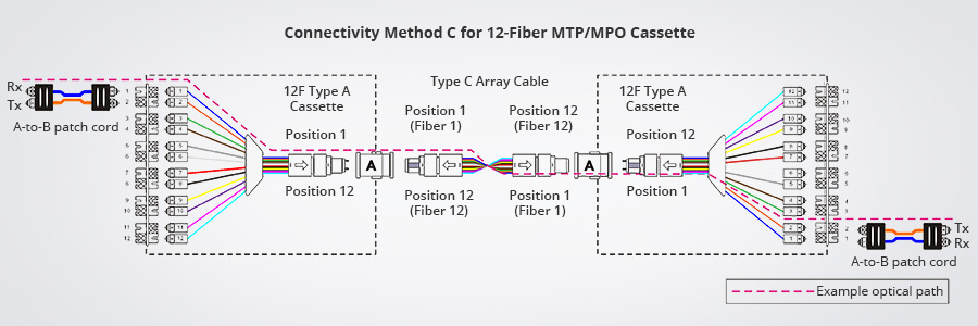 12-fiber method C polarity