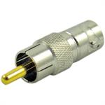 rca male