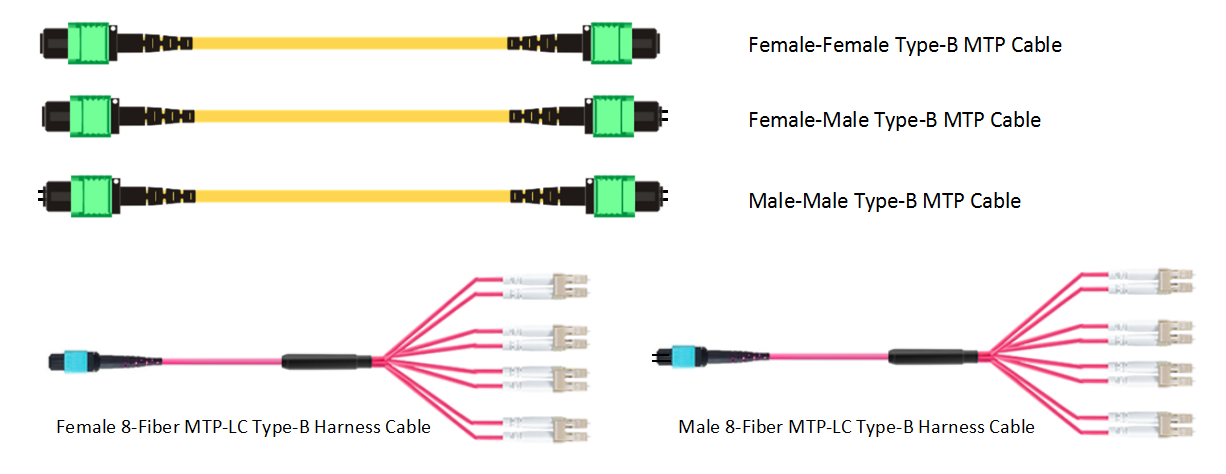 Type-B Polarity MTP Cable User Guide | FS Fiberstore