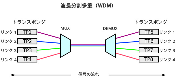 wdm0018