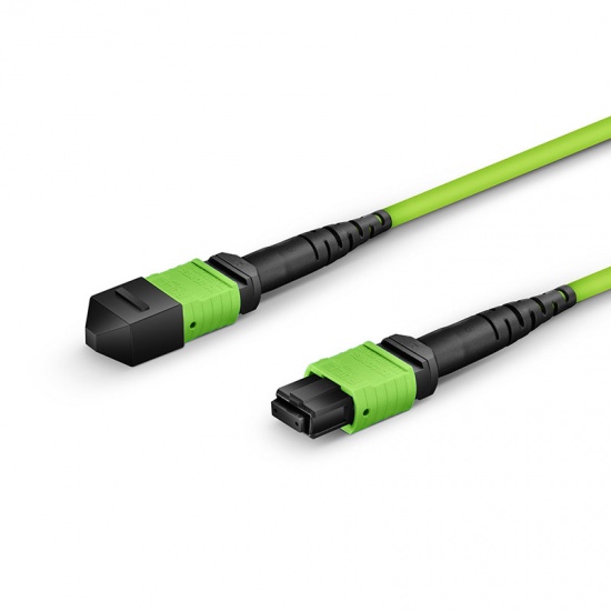1m (3ft) MTP®-12 (Female) to MTP®-12 (Female) OM5 Multimode Elite Trunk Cable, 12 Fibers, Type B, Plenum (OFNP), Lime Green