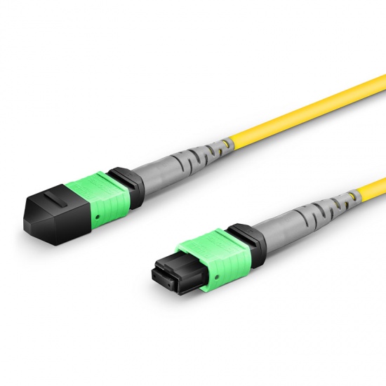 3m (10ft) MTP®-8 (Female) to MTP®-8 (Female) OS2 Single Mode Elite Trunk Cable (Color-coded), 8 Fibers, Type B, Plenum (OFNP), Yellow