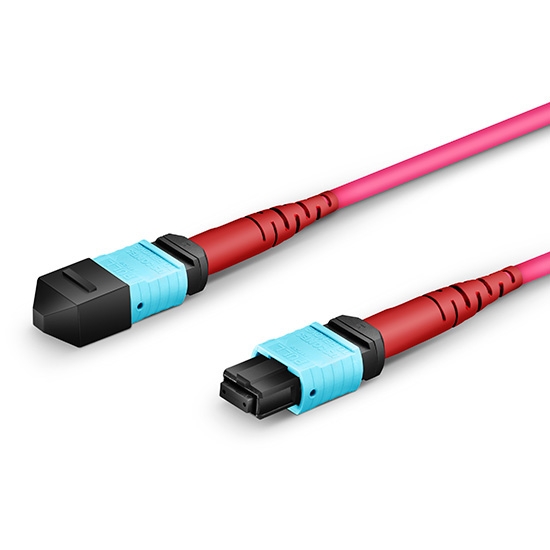 1m (3ft) MTP®- 24 (Female) to MTP®- 24 (Female) OM4 Multimode Elite Trunk Cable, 24 Fibers, Type A, Plenum (OFNP), Magenta