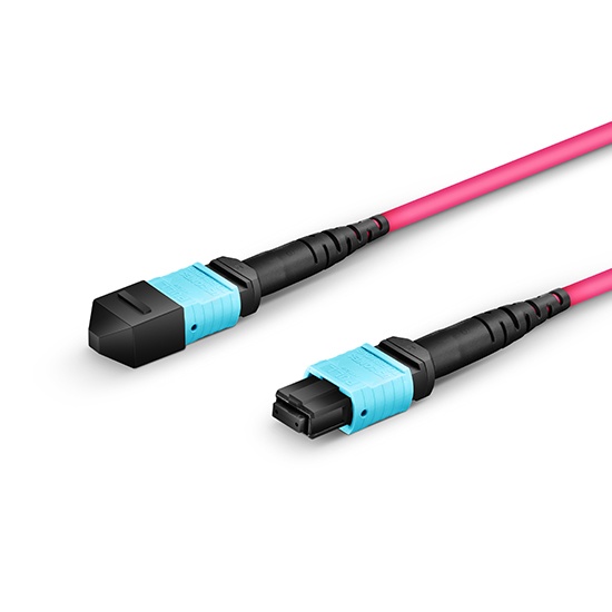 2m (7ft) MTP®-12 (Female) to MTP®-12 (Female) OM4 Multimode Elite Trunk Cable, 12 Fibers, Type B, Plenum (OFNP), Magenta