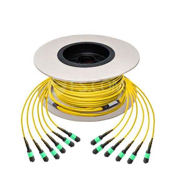 mtp主干光纤跳线