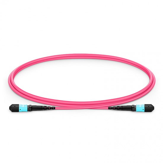 1.5m (5ft) MTP®-12 (Female) to MTP®-12 (Female) OM4 Multimode Elite Trunk Cable, 12 Fibers, Type B, Plenum (OFNP), Magenta
