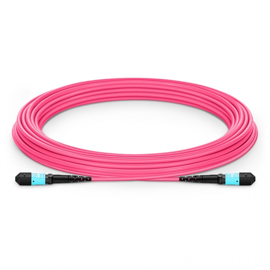 Customized Length MTP®-12 (Female) to MTP®-12 (Female) OM4 Multimode Elite Trunk Cable, 12 Fibers, Type B, Plenum (OFNP), Magenta