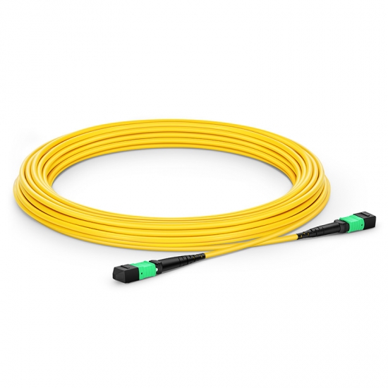 Customized Length MTP® Female 12 Fibers Type B LSZH OS2 9/125 Single Mode Trunk Cable, Yellow
