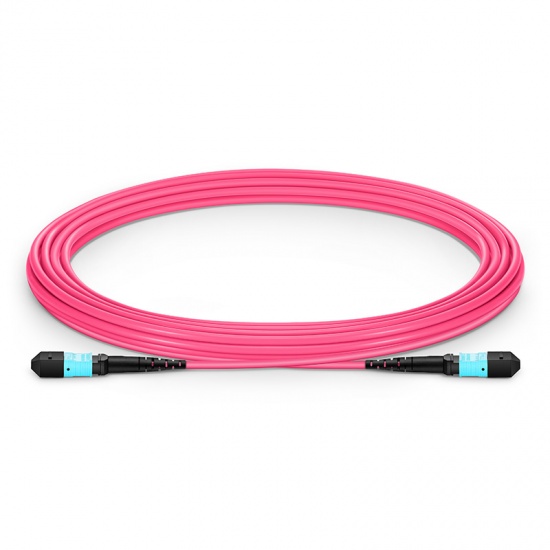 7m (23ft) MTP®-12 (Female) to MTP®-12 (Female) OM4 Multimode Elite Trunk Cable, 12 Fibers, Type B, Plenum (OFNP), Magenta