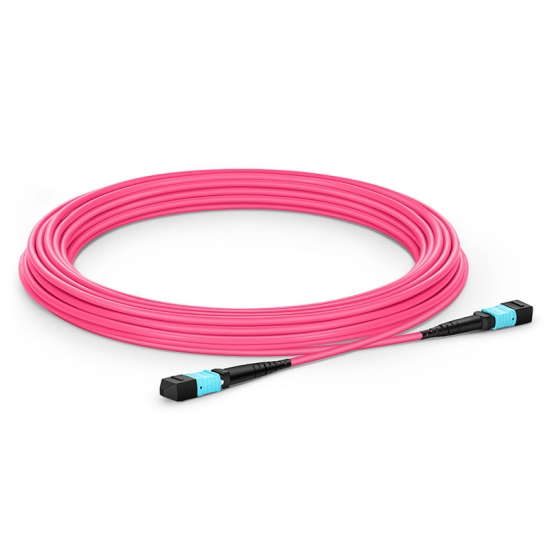 Cable troncal de fibra óptica MTP® hembra 12 fibras OM4 50/125 multimodo, tipo A, Élite, plenum (OFNP), magenta - 20m