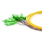 1.5m 12芯 SC/APC 单模 束状圆缆光纤尾纤-0.9mm PVC护套