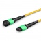 Cable troncal de fibra óptica OS2 9/125 monomodo MTP®-12 (hembra) a MTP®-12 (hembra), 12 fibras, tipo B, Élite, plenum (OFNP) 1m - amarillo