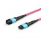 3m (10ft) MTP®-12 (Female) to MTP®-12 (Female) OM4 Multimode Elite Trunk Cable, 12 Fibers, Type B, Plenum (OFNP), Magenta