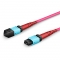 3m (10ft) MTP®- 24 (Female) to MTP®- 24 (Female) OM4 Multimode Elite Trunk Cable, 24 Fibers, Type A, Plenum (OFNP), Magenta