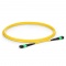 2m (7ft) MTP®-12 (Female) to MTP®-12 (Female) OS2 Single Mode Elite Trunk Cable, 12 Fibers, Type B, Plenum (OFNP), Yellow