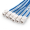 3M CAT5E超五类屏蔽预端接主干线缆 6*插口-6*插口，蓝色，PVC CMR