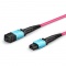 20m (66ft) Senko MPO Female 12 Fibers Type B LSZH OM4 50/125 Multimode Elite Trunk Cable, Magenta