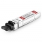 Netgear SFP-1/10GSR-85 Compatible Dual-Rate 1000BASE-SX and 10GBASE-SR SFP+ 850nm 300m DOM LC MMF Transceiver Module