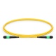 1m (3ft) MTP®-12 (Female) to MTP®-12 (Female) OS2 Single Mode Elite Trunk Cable, 12 Fibers, Type B, Plenum (OFNP), Yellow