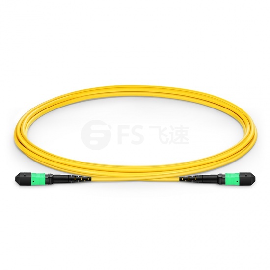 2m 12芯 MTP®(母)单模OS2主干光纤跳线， 极性B，低插损，Plenum(OFNP阻燃)