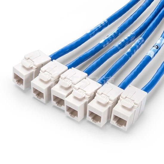 15M CAT5E超五类屏蔽预端接主干线缆 6*插口-6*插口，蓝色，PVC CMR