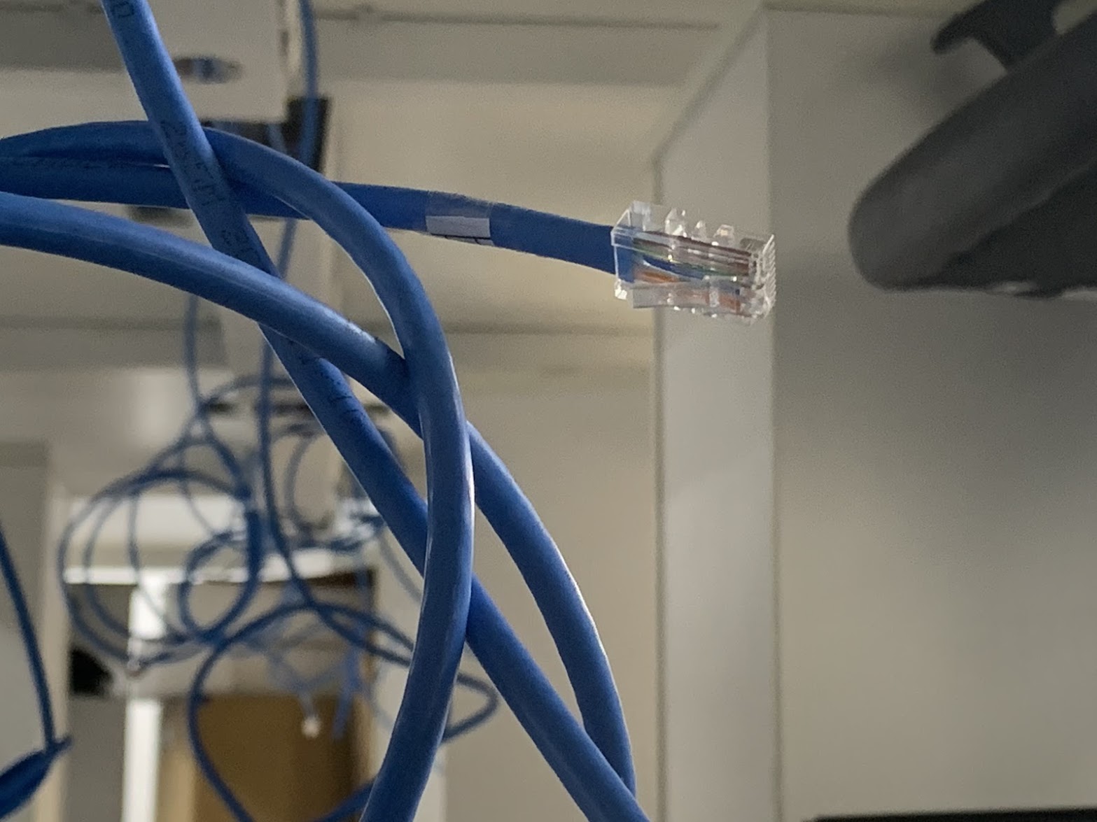 Cat6 Ethernet Solid Bulk Cable,1000ft, UTP, 23AWG, Blue -  United  Kingdom