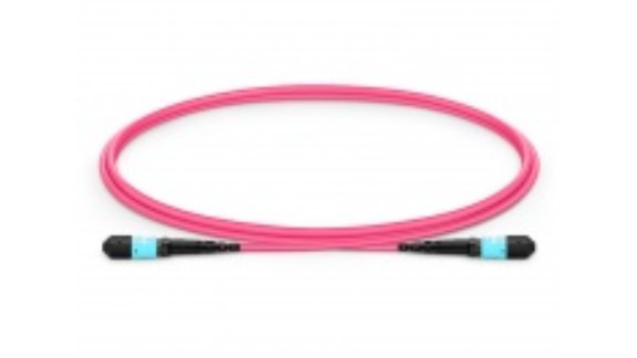 1m (3ft) MTP®-12 (Female) to MTP®-12 (Female) OM4 Multimode Elite Trunk Cable, 12 Fibers, Type B, Plenum (OFNP), Magenta